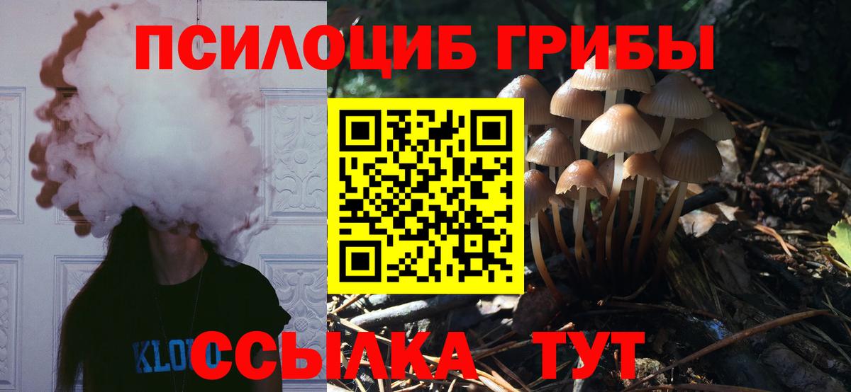 Галлюциногенные грибы Cubensis  Галлюциногенные грибы Magic Shrooms  Вход с VPN  Сафоново 