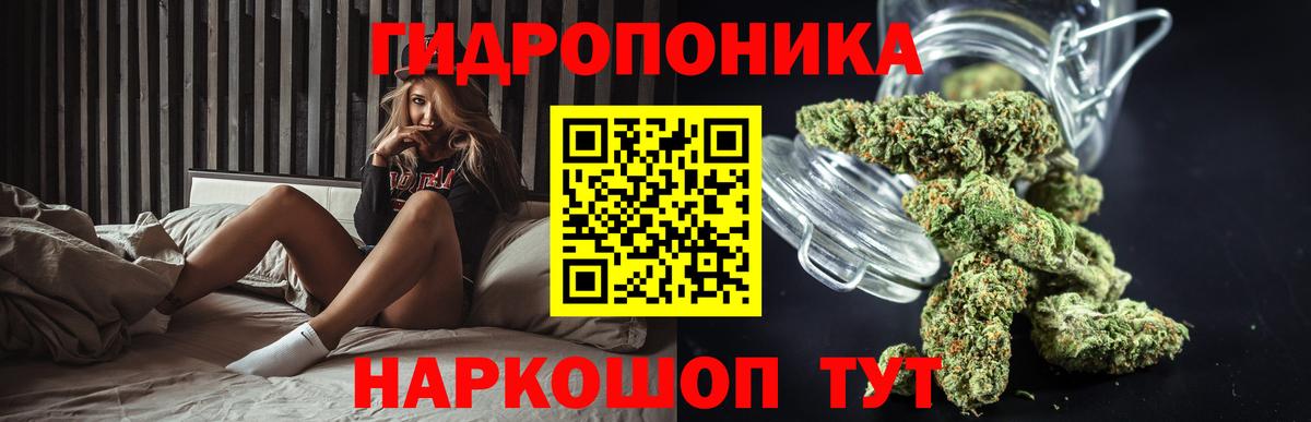 Конопля Bruce Banner Сафоново